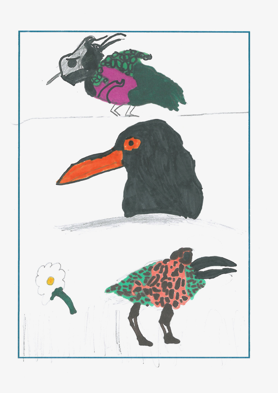 drawing of 3 mysterious birds