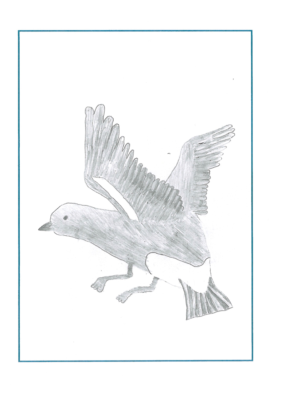 drawing of a bird