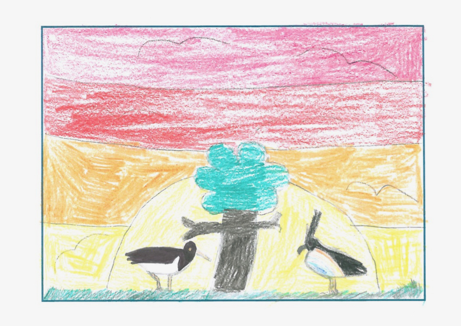 drawing of 2 oyster catchers with sunset