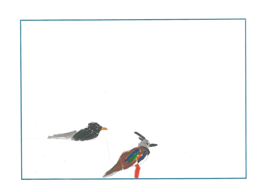 drawing of a lapwing and another bird